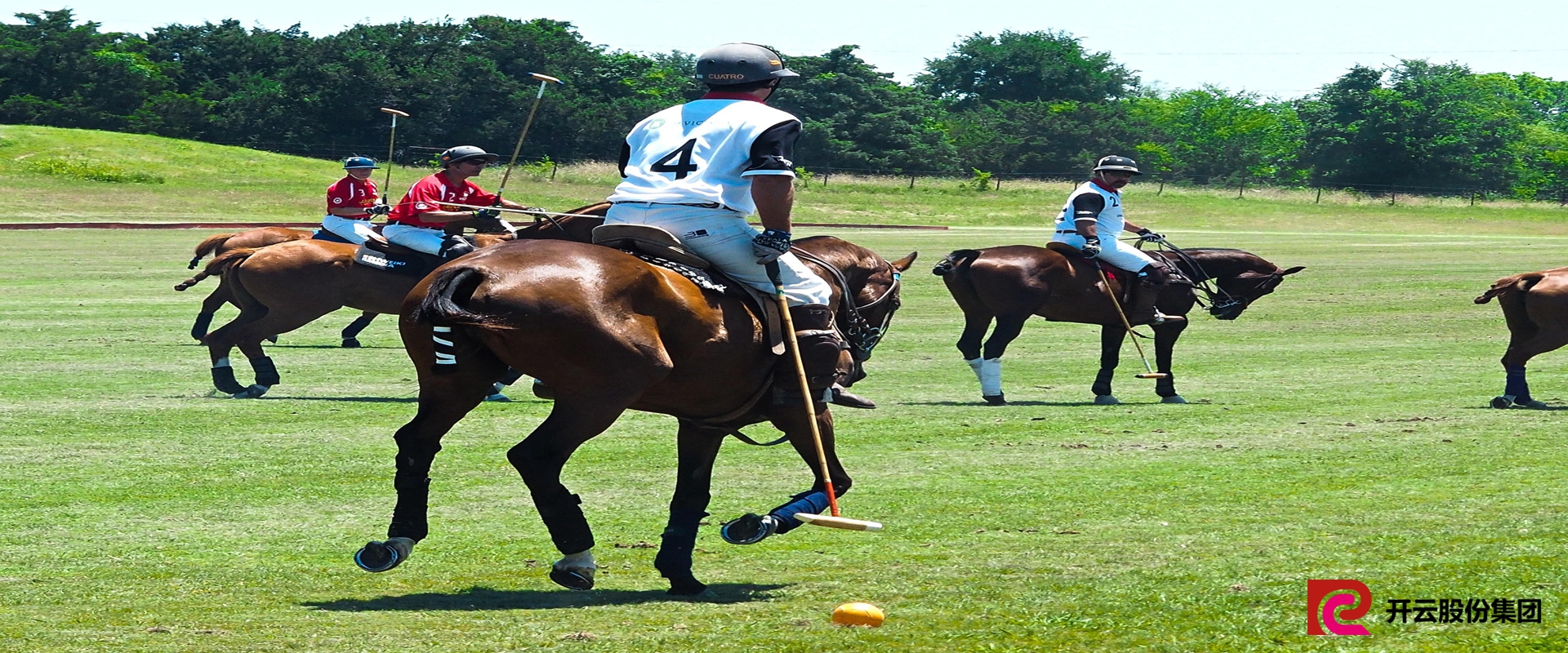 开云科技股份集团-垂直运动社群平台